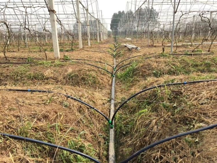 PE Capillary Hoses