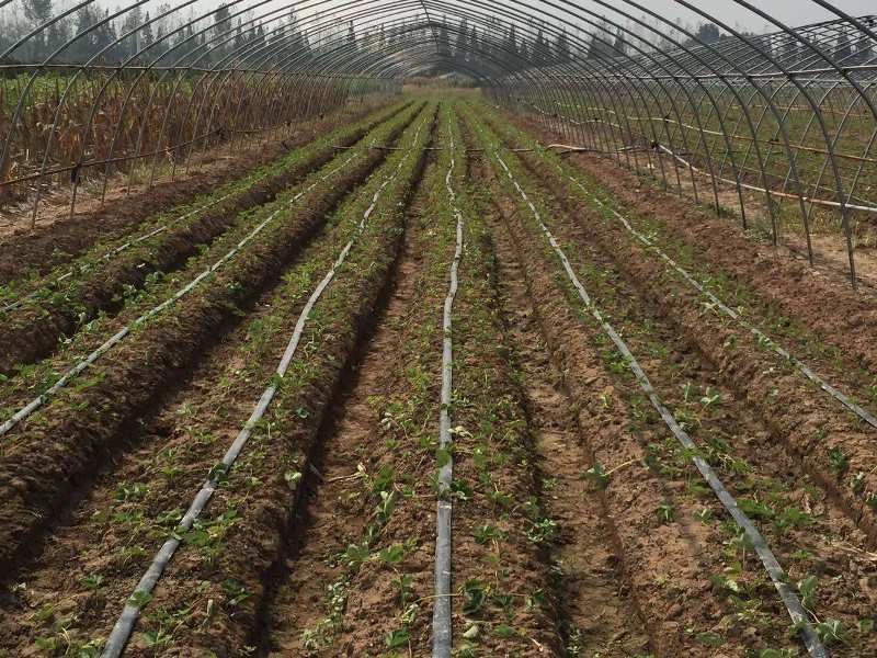 large-farm-irrigation-system