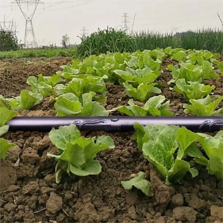 Farm Drip Irrigation System Design