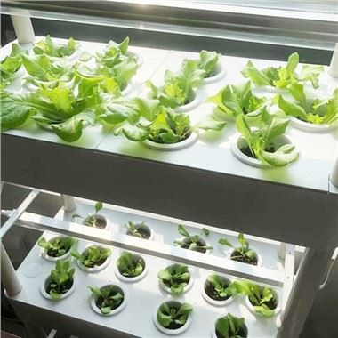 4-επίπεδο Υδροπονικό κιτ κήπου με φώτα LED