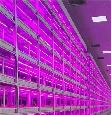 Αναπτυσσόμενο ράφι με το δίσκο υδρόγειου