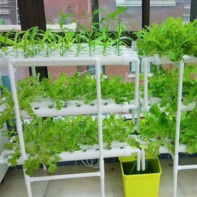 108 Τοποθεσίες φυτών Hydroponic Grow Kit Water Culture Garden Plant System